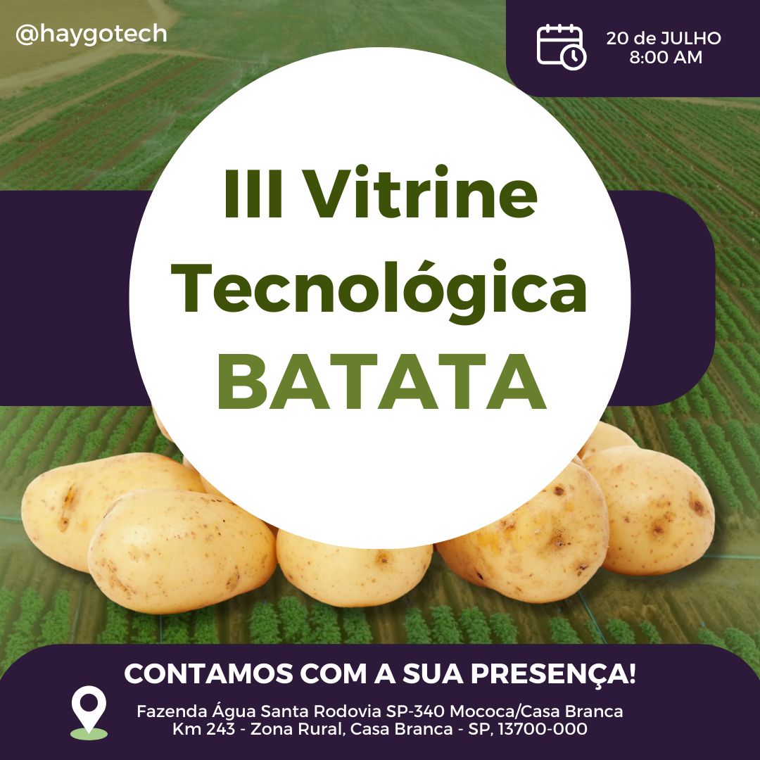III Vitrine Tecnológica – Batata